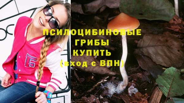 твердый Новозыбков