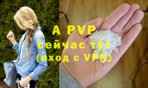 твердый Новозыбков