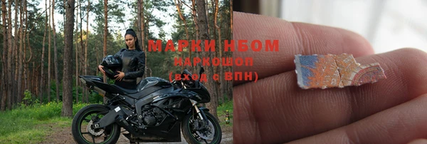 твердый Новозыбков