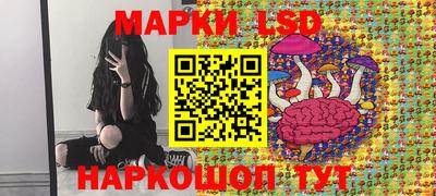 стафф Кимры