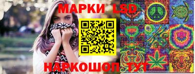 стафф Кимры