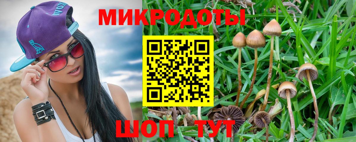 закладка  Галлюциногенные грибы ЛСД  Вход с VPN  Мыски  Галлюциногенные грибы Psilocybine cubensis 